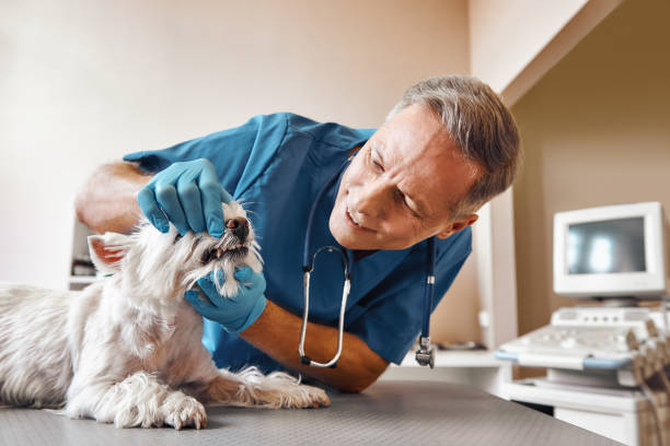Best Same-Day Emergency Appointments in Redland, MD